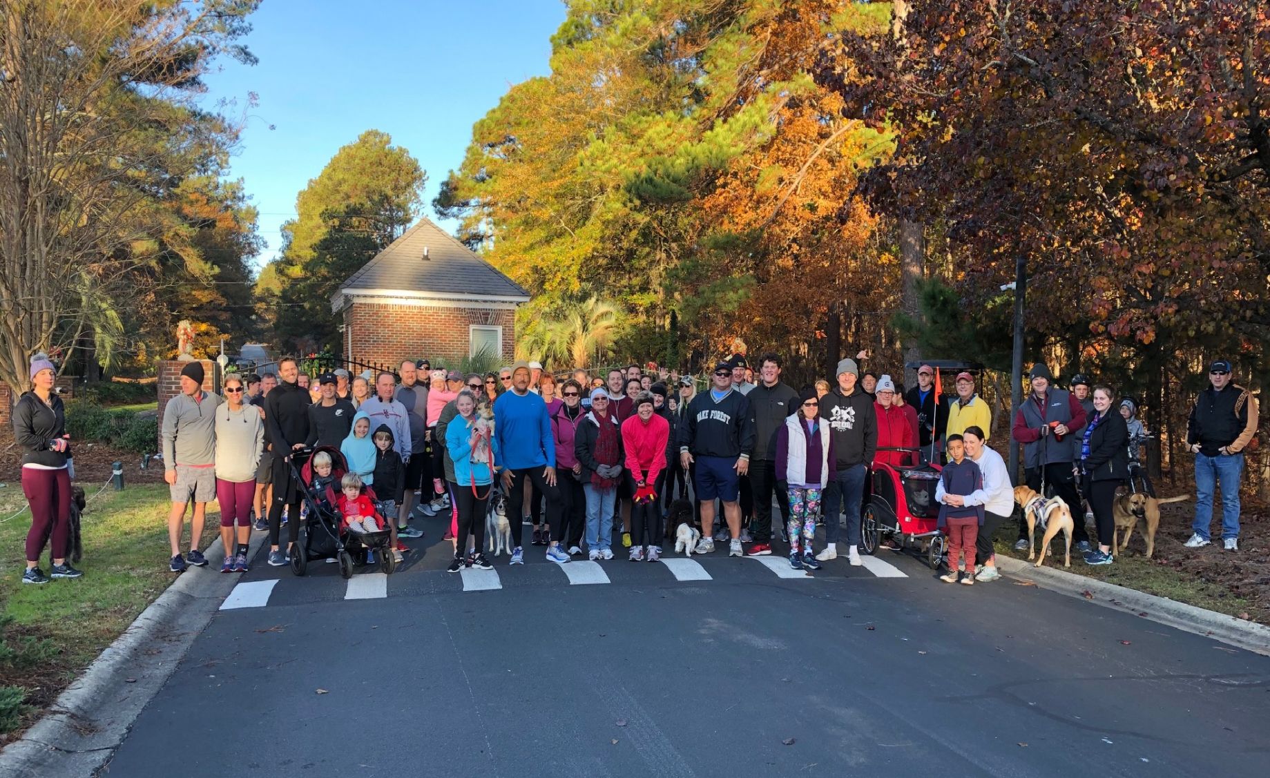 gobble go in lexington